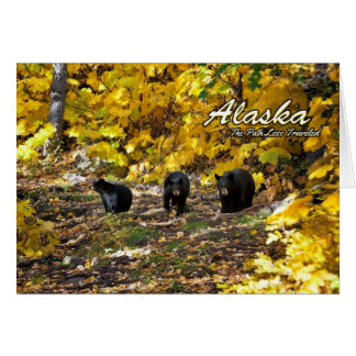 Cartão Alaska, o caminho menos percorrido