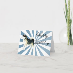 Cartão Alaskan Malamute Birthday Card