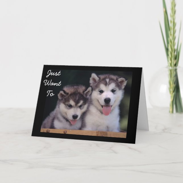 CARTÃO "ALASKAN MALAMUTES DESEJA ANIVERSÁRIO" (Frente)