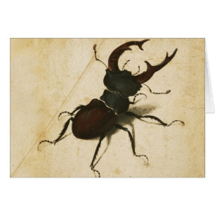 Cartão Albrecht Durer Stag Beetle Renaissance Vintage Art