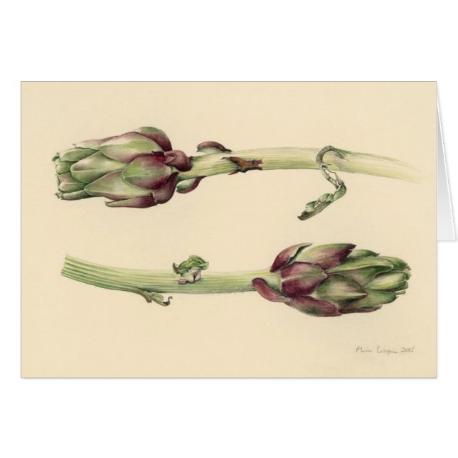 Cartão Alcachofras 2005 (Frente Horizontal)