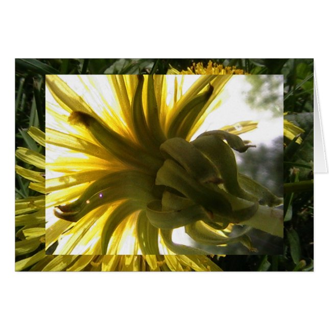 Cartão alcance (Frente Horizontal)