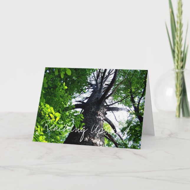 Cartão Alcance para cima (Frente)