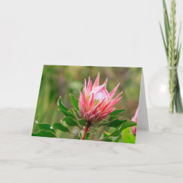 Cartão Alcance para o céu