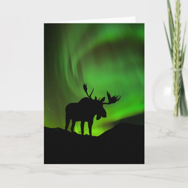 Cartão Alce com Aurora Boreal Verde, Alasca (Frente)