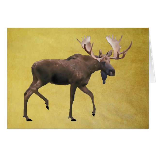 Cartão Alce Macho (Frente Horizontal)