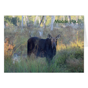 Cartão Alces você: