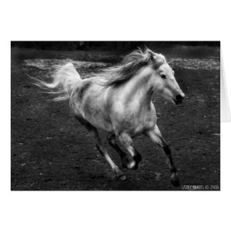 Cartão Alegria ar livre por Sande Elkins