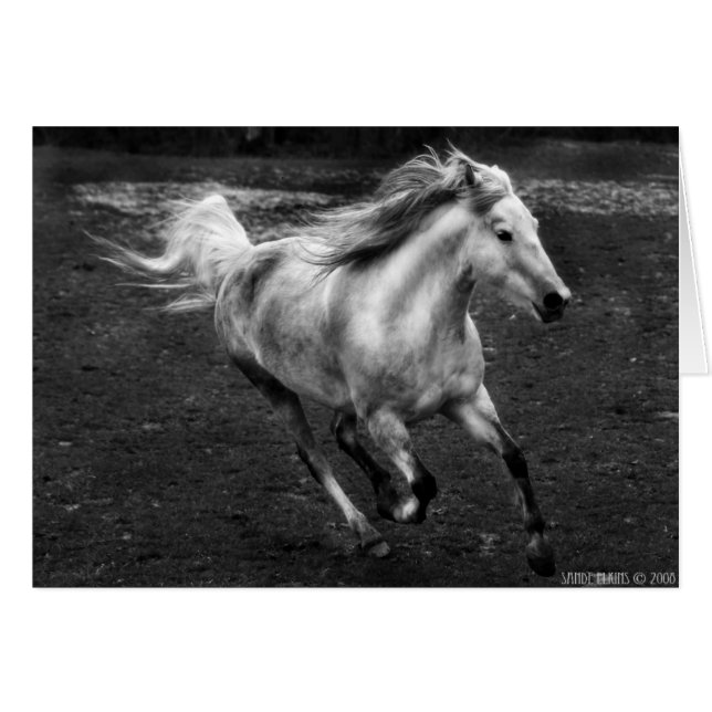 Cartão Alegria ar livre por Sande Elkins (Frente Horizontal)