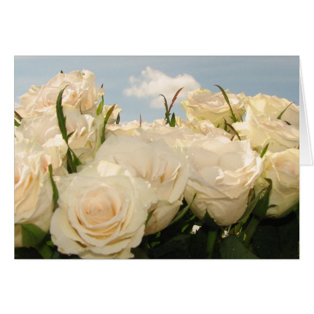 Cartão Alegria de rosa branca (Frente Horizontal)