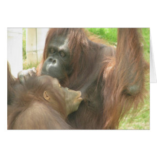 Cartão Aleitamento de Orangutan