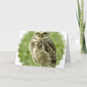 Cartão Alert Owl Greeting Card