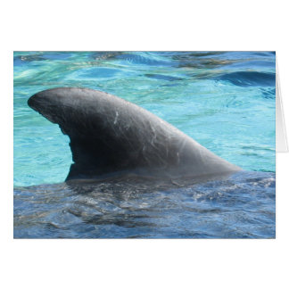 Cartão Aleta da boneca - série de TBD