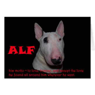 Cartão ALF aceitando o amor