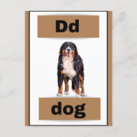 cartão alfabético (com imagem real)Cartão postal d