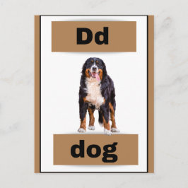 cartão alfabético (com imagem real)Cartão postal d