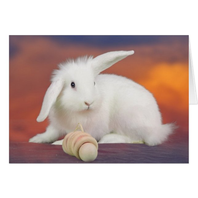 Cartão Alfredo (Frente Horizontal)