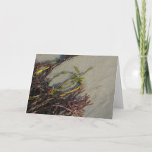 Alga da praia do oceano