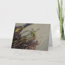 Cartão Alga da praia do oceano