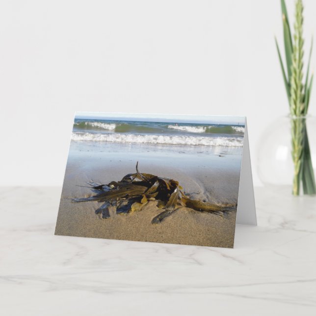 Cartão Algas! (Frente)