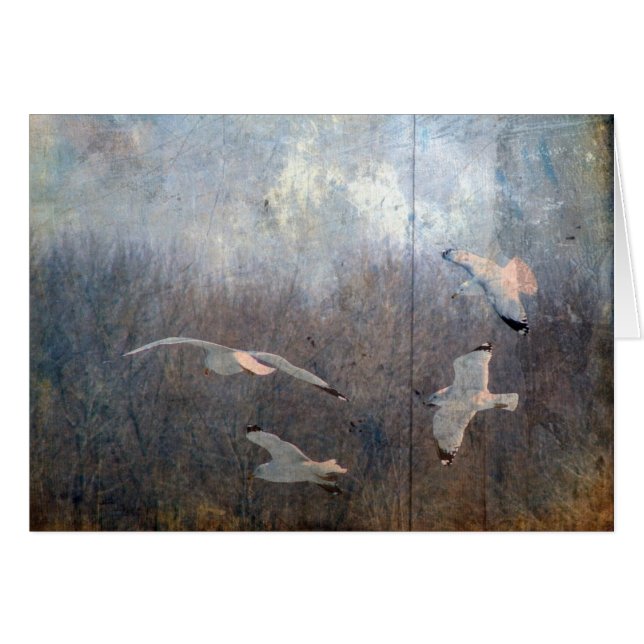 Cartão Algas (Frente Horizontal)