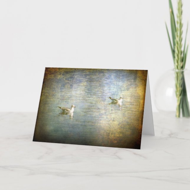 Cartão Algas (Frente)