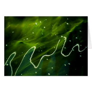 Cartão Algas verdes e gcn de água