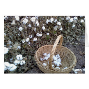 Cartão Algodão Pickin' Basket