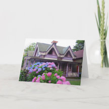 Algodão vitoriano roxo - Vineyard de Martha