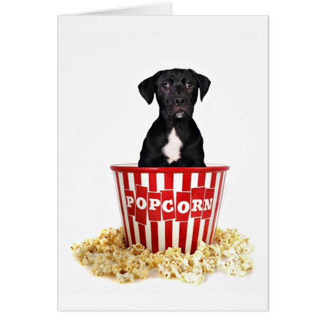 Cartão Alguém da Pup-Corn? (Frente)