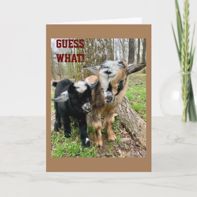 CARTÃO ALGUÉM "MUITO ESPECIAL" ESTÁ TENDO **ANIVERSÁRIO** (Frente)