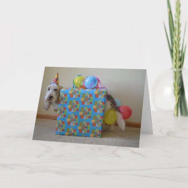 Cartão Alguém pediu um presente de aniversário? (Frente)