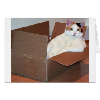 Cartão "Alguém viu meus tons?''