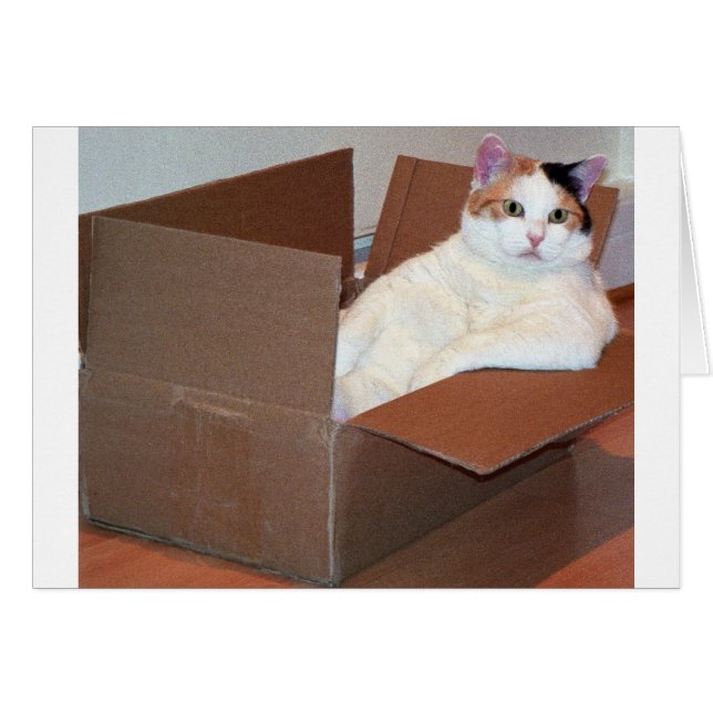 Cartão "Alguém viu meus tons?'' (Frente Horizontal)