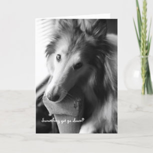 Cartão Alguma coisa te fez descer?