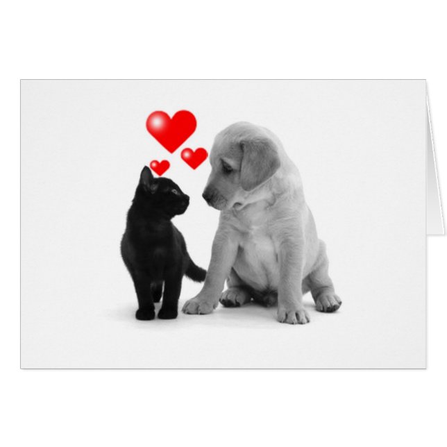 CARTÃO ALGUMAS VEJAM ESTRELAS - EU VEJO CORAÇÕES POR CAUS (Frente Horizontal)