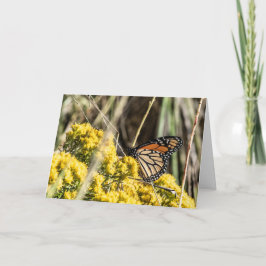 Cartão Alho e couve