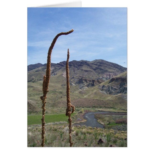 Cartão Ali (Frente)