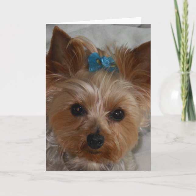 Cartão Aliado pequeno (Frente)