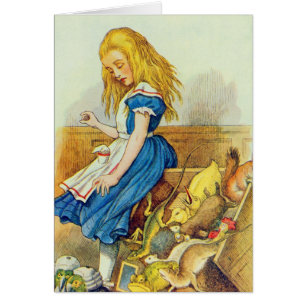 Cartão Alice vira o Júri-Box