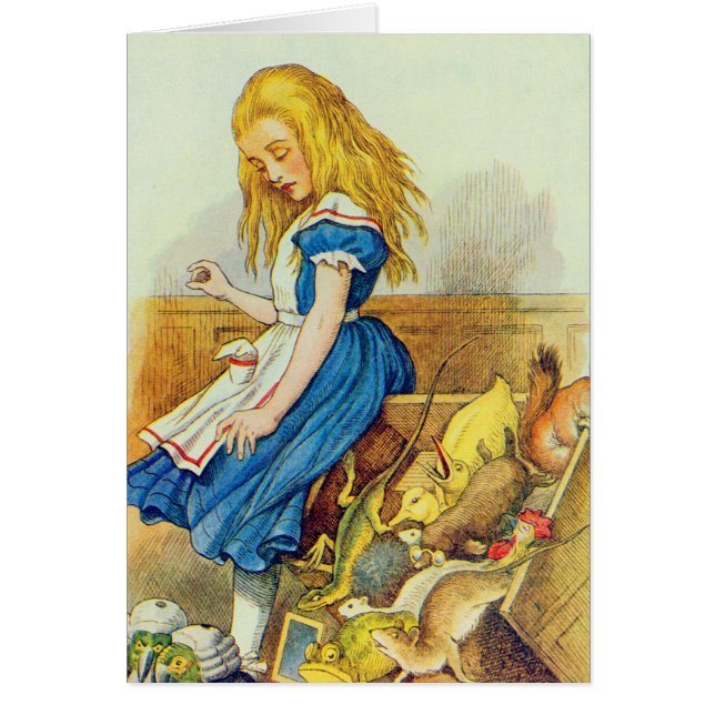 Cartão Alice vira o Júri-Box (Frente)