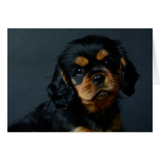 Cartão Alices desi.jpg