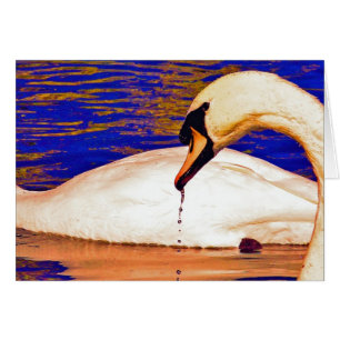 Cartão Alimentação de Cisnes