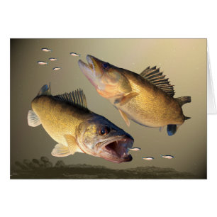 Cartão Alimentação de dois Walleye