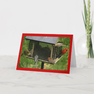 Cartão Alimentador de aves ocupado