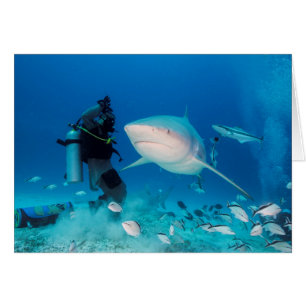 Cartão Alimentando a Bull