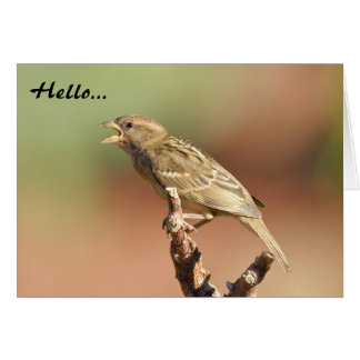 Cartão Alimente-Me!