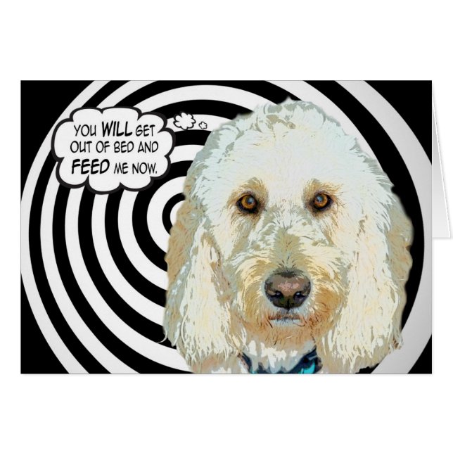 Cartão Alimente-Me! (Frente horizontal)