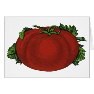 Cartão Alimentos Antigos, Tomate Maduro, Legumes e Frutas