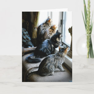 Cartão All Occasion Greeting Card - Cats at Window